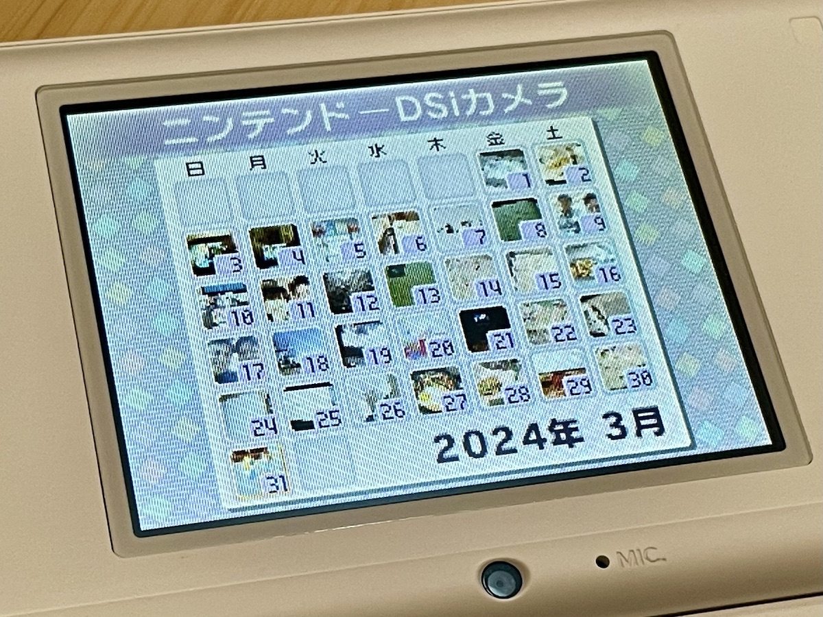 DSi photo calendar