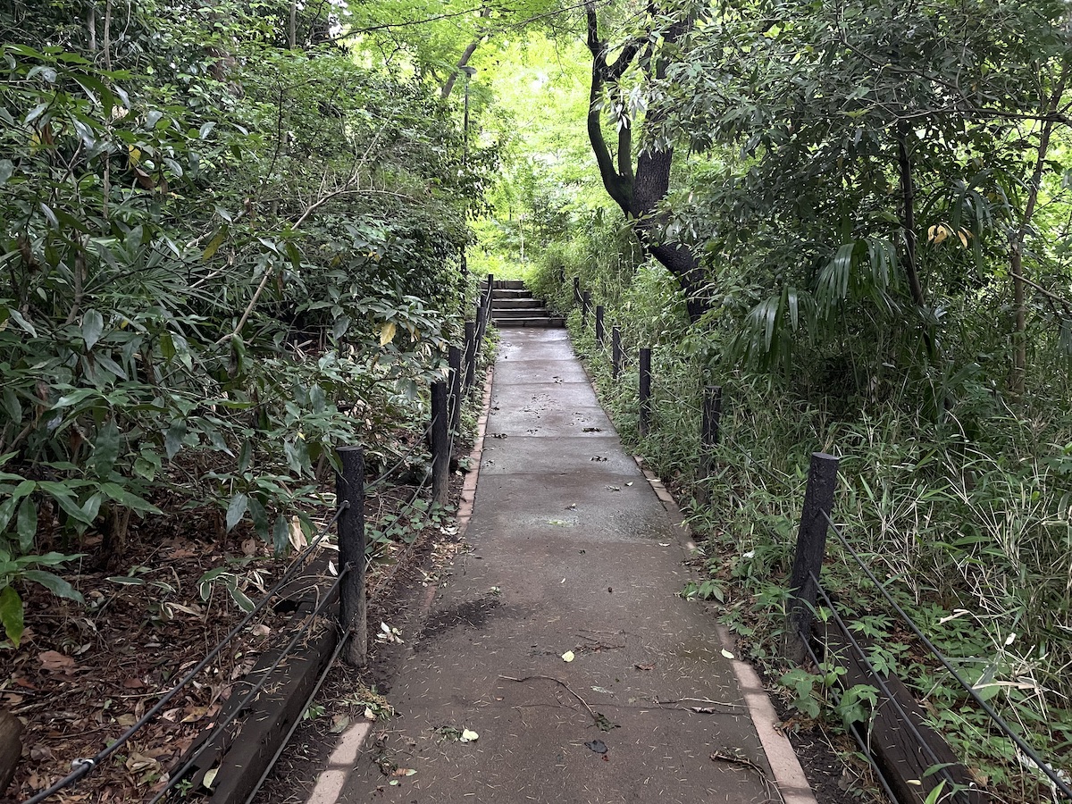 Walking path in Komaba Park